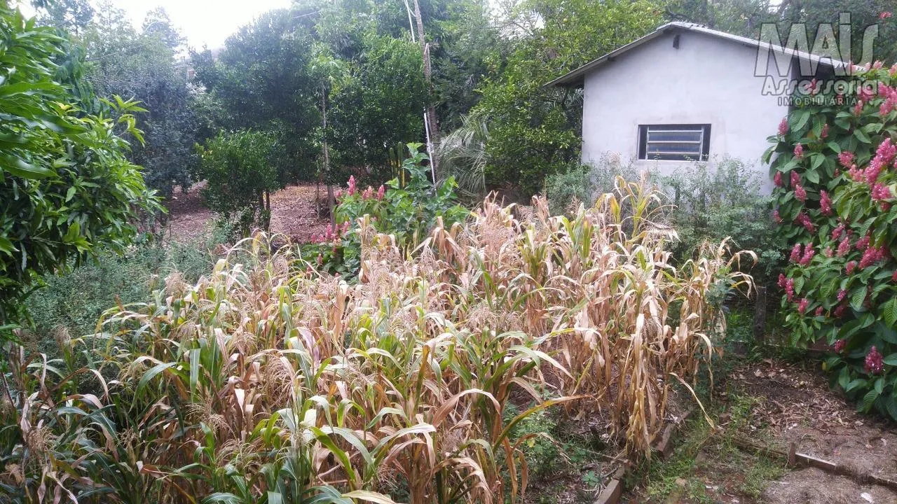 Imagem Terreno para Venda em São Leopoldo / RS no bairro Campestre