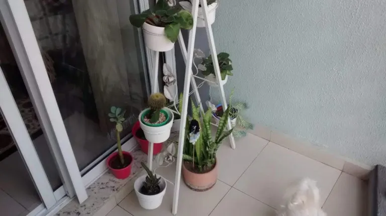 Imagem Apartamento com 3 Quartos à Venda, 63 m² em Vila Mangalot - São Paulo