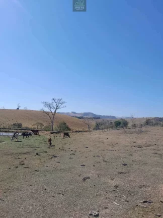 Imagem Terreno incrível para criação de animais e plantio
