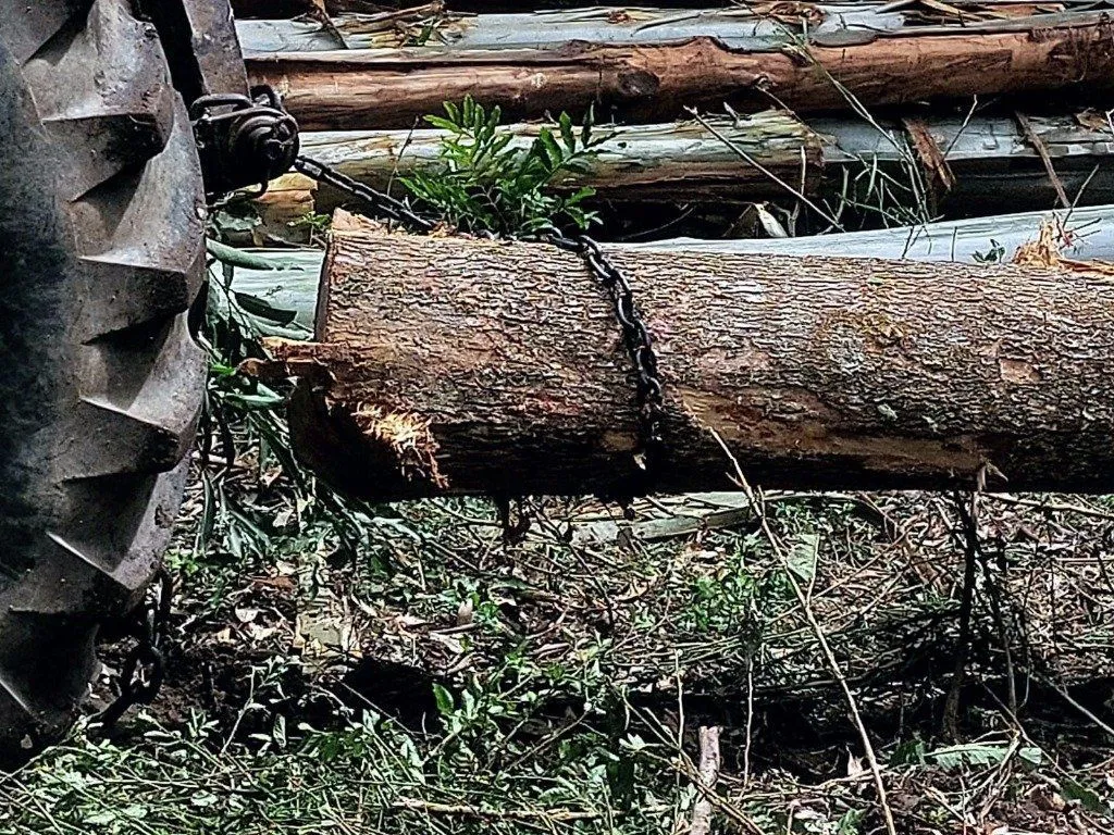 Imagem Fazenda em Zona Rural