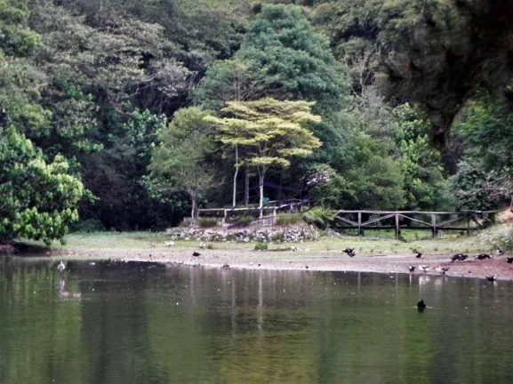 Imagem Terreno à venda, 2282 m² - Jardim Mediterrâneo - Granja Viana - Cotia/SP