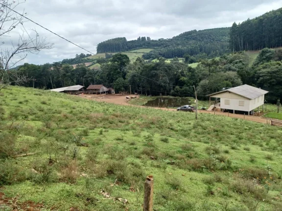 Imagem Área Agrícola para Venda em Ipumirim, Rural
