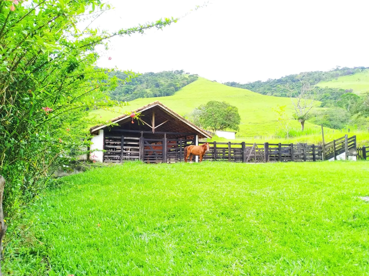 Imagem Chácara à venda 4 Quartos, 1 Suite, 1282600M², Zona Rural, Pindamonhangaba - SP