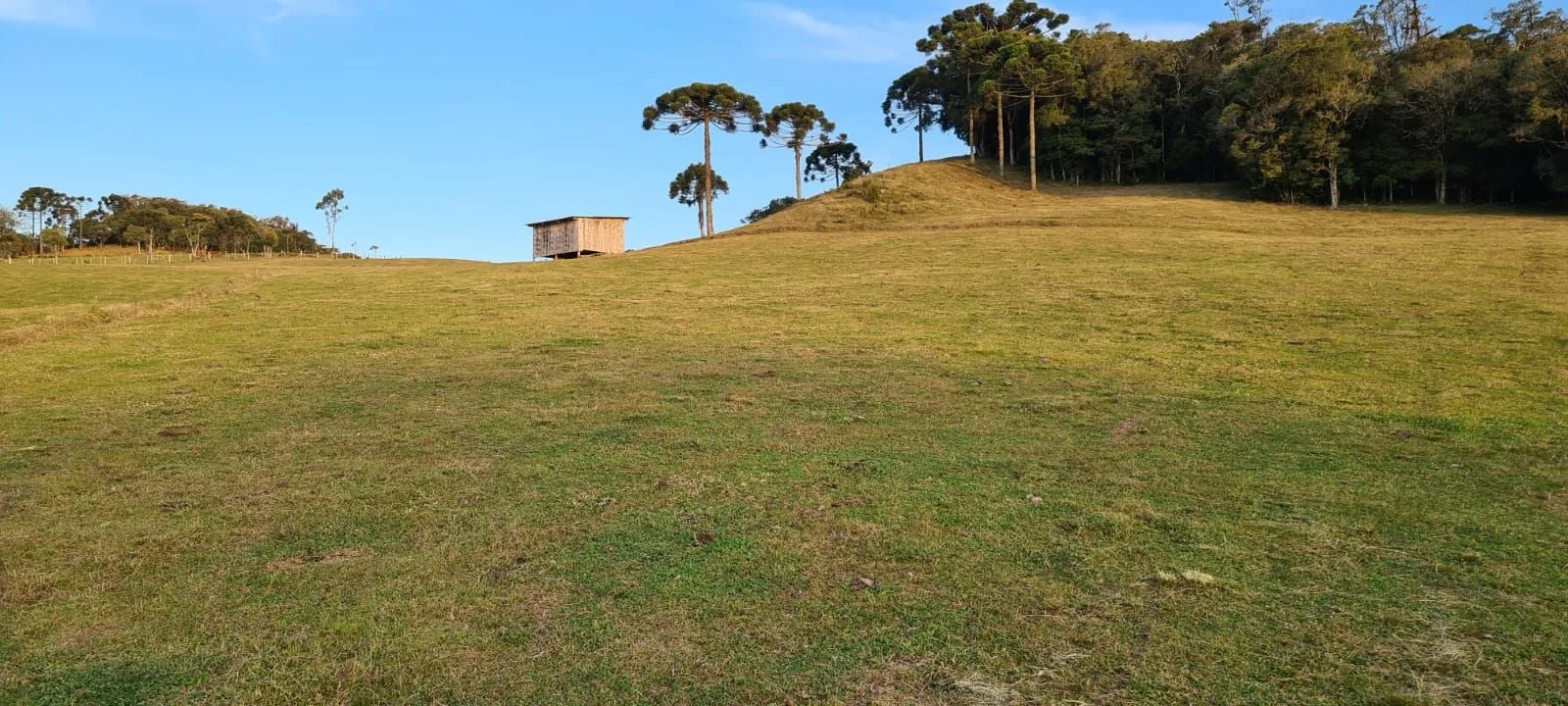 Imagem Oportunidade Única! Terreno com 4 Lagos e Escritura Pública em Rancho Queimado - 27,6 ha