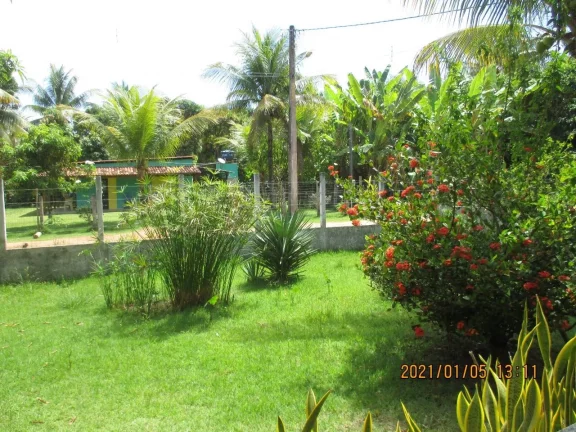 Imagem Yellow House Algodões