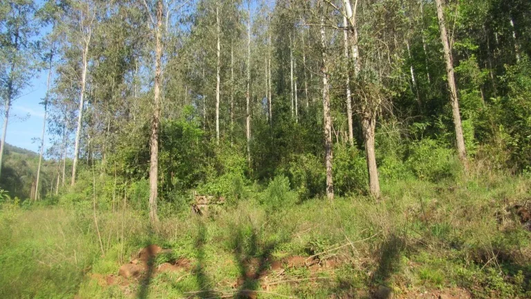 Imagem Terreno para Venda em Arabuta, Interior