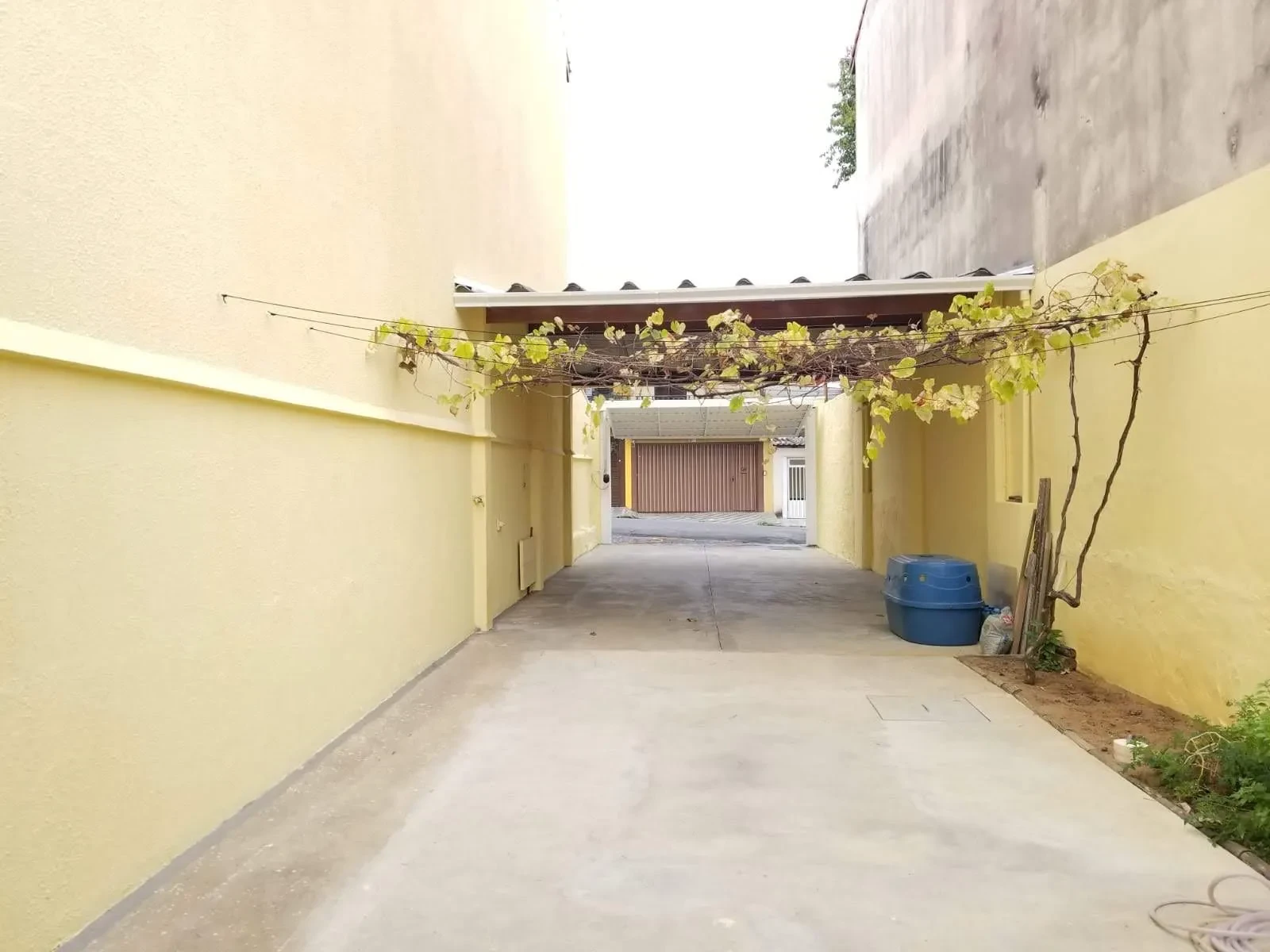 Imagem Sobrado com 3 Quartos à Venda, 202 m² em Vila Floresta - Santo André