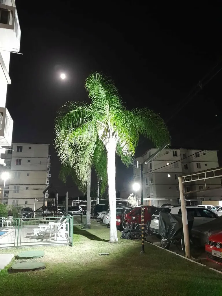 Imagem Apartamento em Fátima