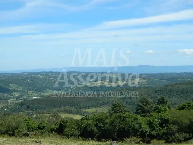 Imagem Excelente sítio para venda localizado no bairro Morungava em Gravataí/RS