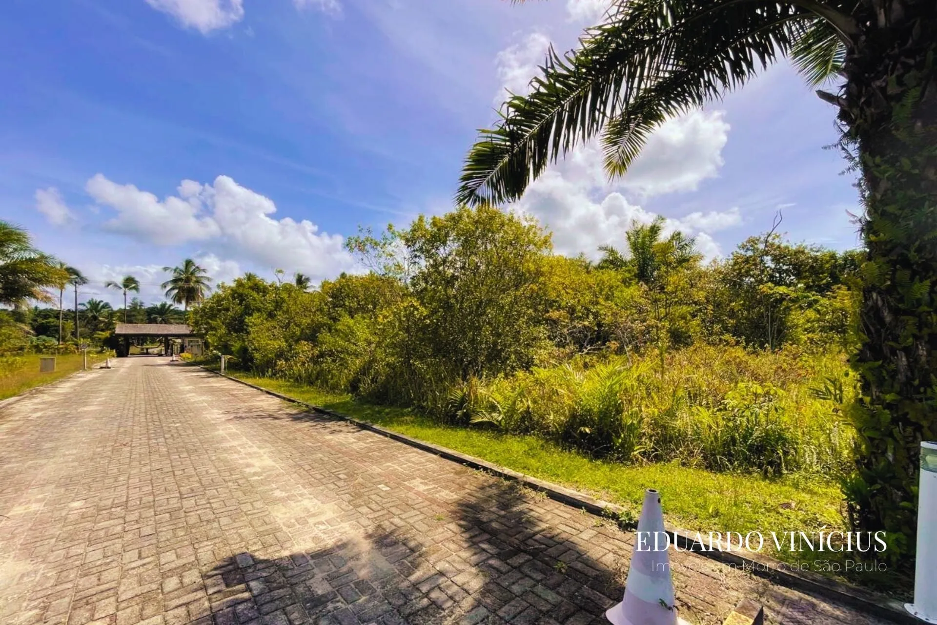 Imagem Dolce Vita Praia - Lote com 1.000m² em Condomínio de LUXO À Venda na Quarta Praia do Morro de São Paulo