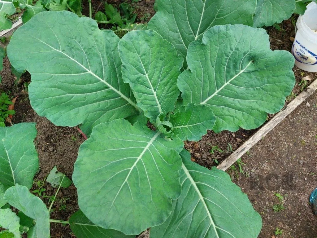 Imagem Fazenda em Zona Rural
