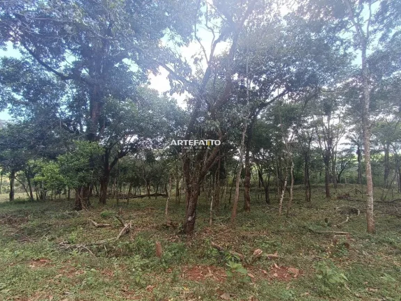 Imagem Sítio à venda, com 2 quartos, 3Alqueires Paulista