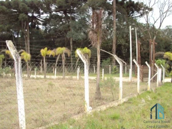 Imagem Terreno para condomínio de alto padrão, ou outros empreendimentos, em Campo Magro PR
