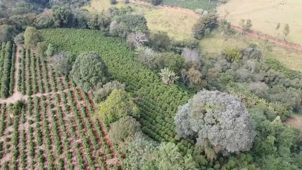 Imagem Sítio 3,63 ha à venda em Primos, Campestre