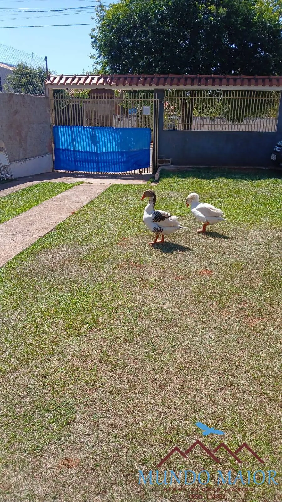 Imagem Refúgio de Paz em Panorama-SPCasa com RioChurrasqueira e Garagem C/Permuta