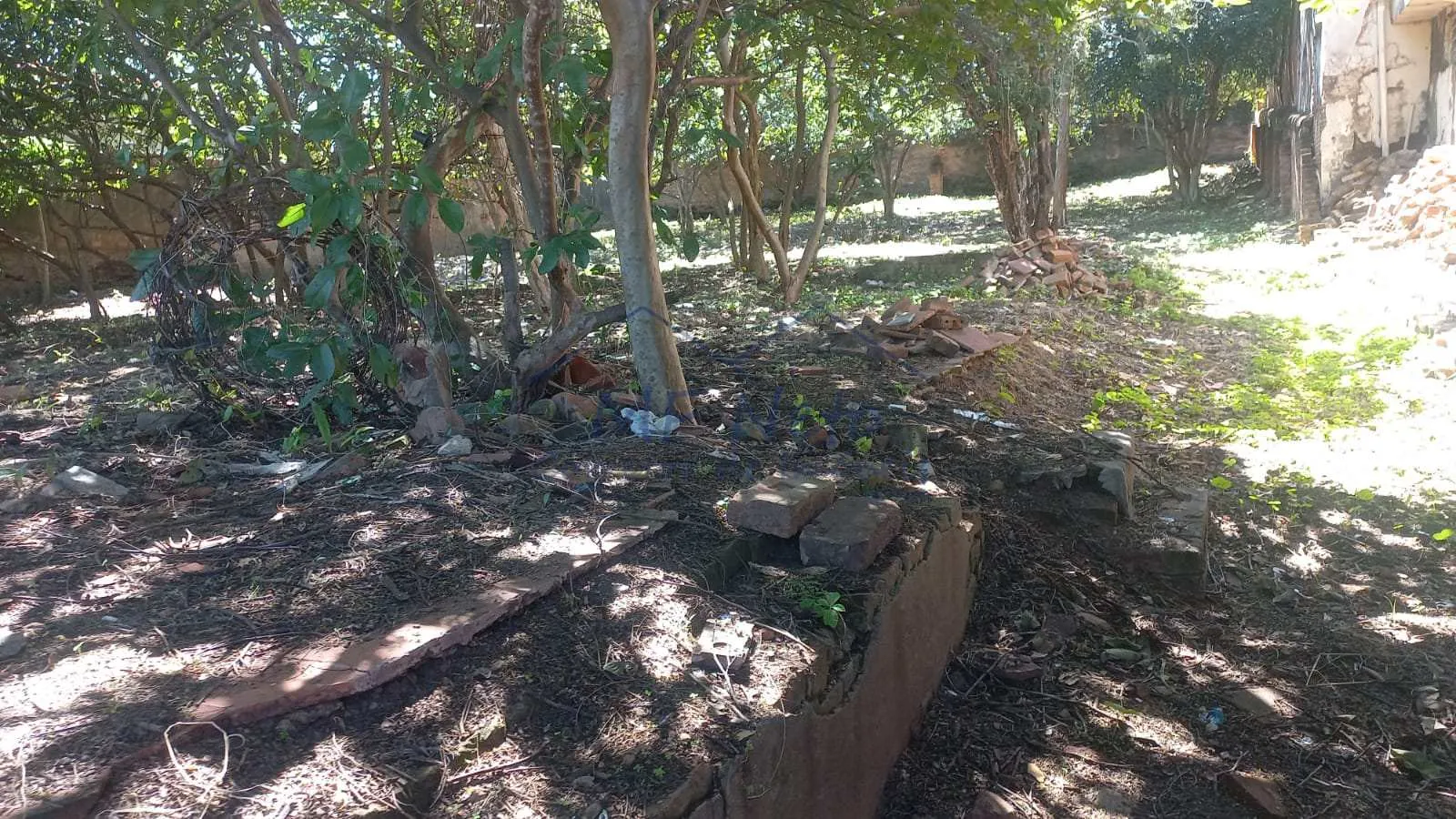 Imagem Terreno Padrão