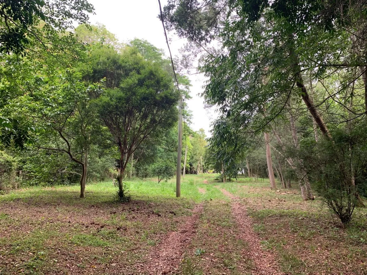 Imagem Lindo Sítio em Águas Claras - Viamão