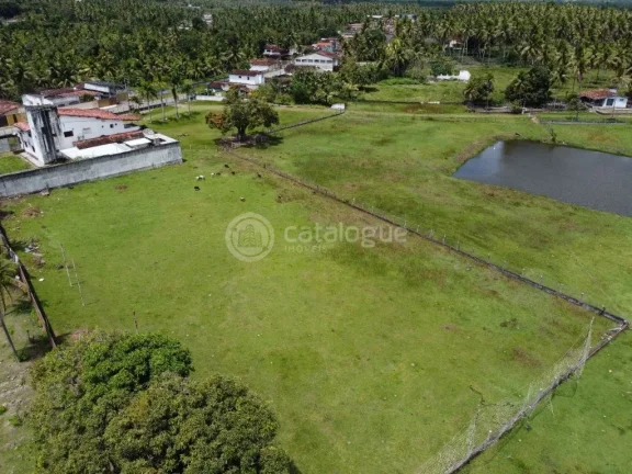 Imagem ÁREA Á VENDA EM NISIA FLORESTA
