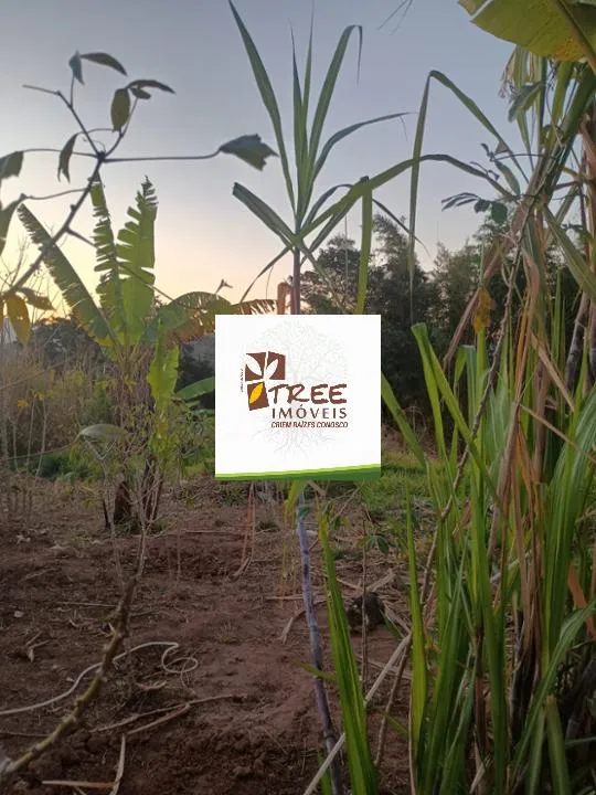 Imagem VENDA DE TERRENO NO PARQUE RODRIGO BARRETO, EM ARUJÁ/SP, OPORTUNIDADE com 500m², ideal para galpão! CONSULTE-NOS.