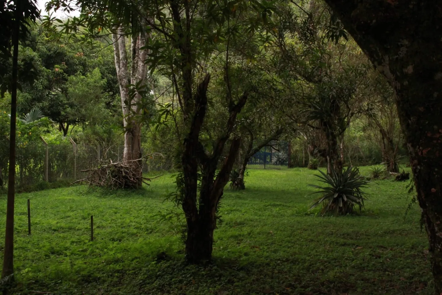 Imagem Chácara à venda 4 Quartos, 2 Suites, 20 Vagas, 60000M², Ribeirão Grande, Pindamonhangaba - SP