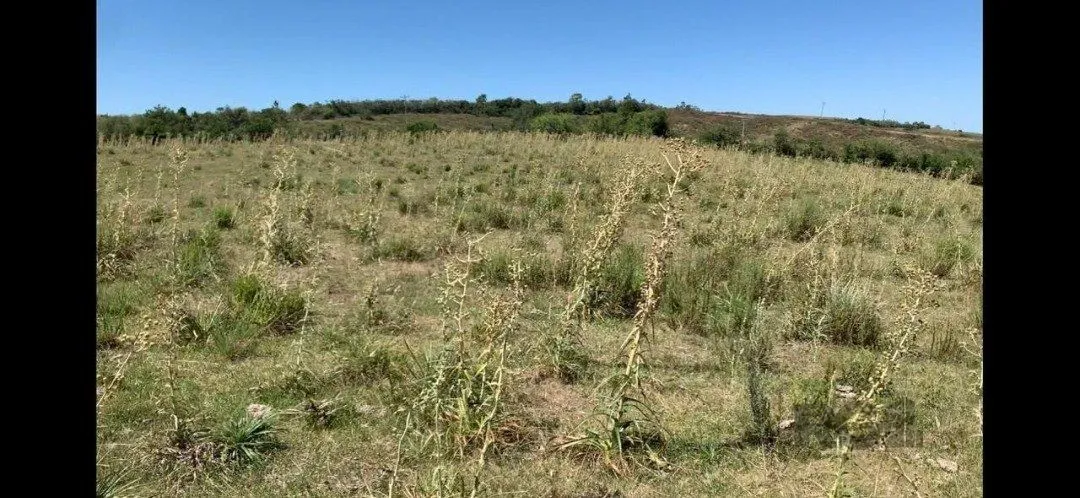 Imagem Fazenda em Zona Rural