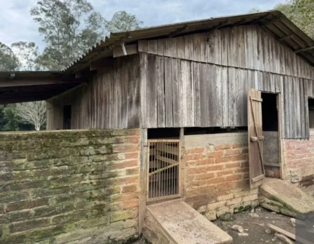 Imagem Lindo Sítio no Caraá 1,5 Ha