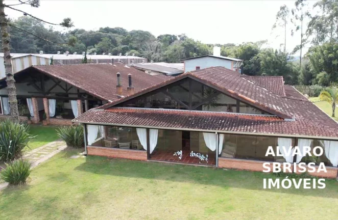Imagem EXCELENTE FAZENDA COM PINUS A VENDA NA REGIÃO DE ITAPETININGA-SP