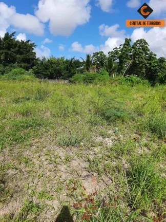 Imagem TERRENO EM LAURO DE FREITAS - CAJI
