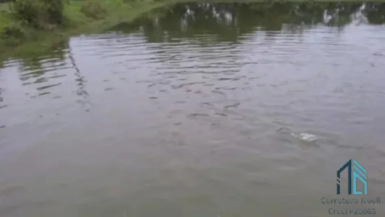 Imagem Chácara/Sítio, propriedade produtiva, 30 hectares com plantação de palmito pupunha, em Guaratuba PR
