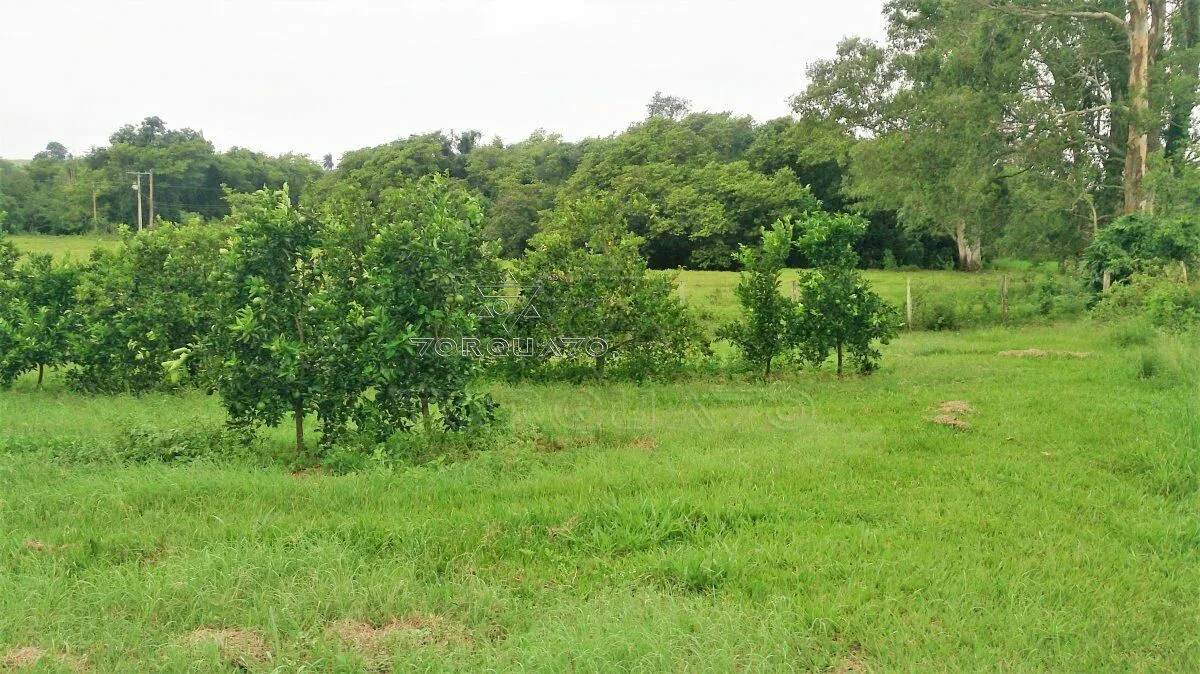 Imagem Seu Sonho Rural em Conchal: Propriedade de 72.600 m² com Infraestrutura Completa!