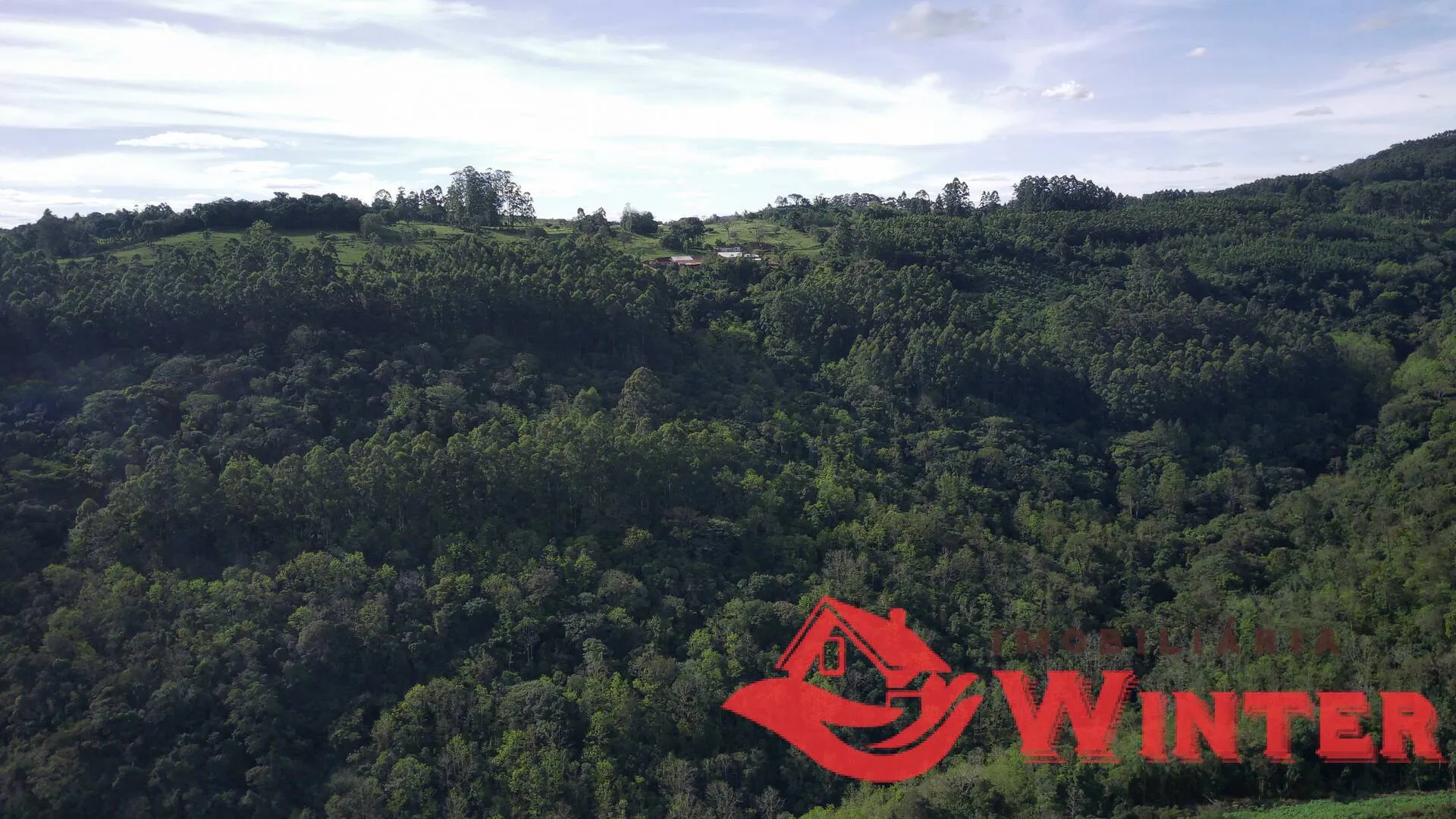 Imagem Área de terras com 7,25 hectares em Morro Grande, Linha Nova.