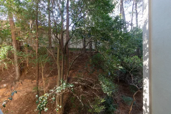 Imagem Apartamento à venda em São Paulo, Vila Paulista, com 2 quartos, 53m2