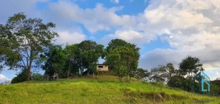 Imagem Fazenda em Abadiânia, muita água (permuta total se for em Goiânia) GOIANIA - GO