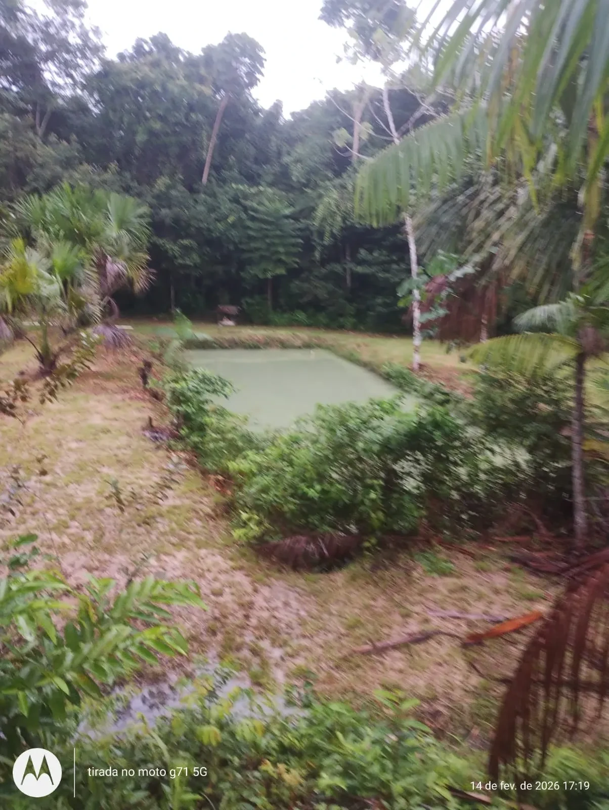 Imagem Fazenda à Venda, 46 HA em Acará - Acará