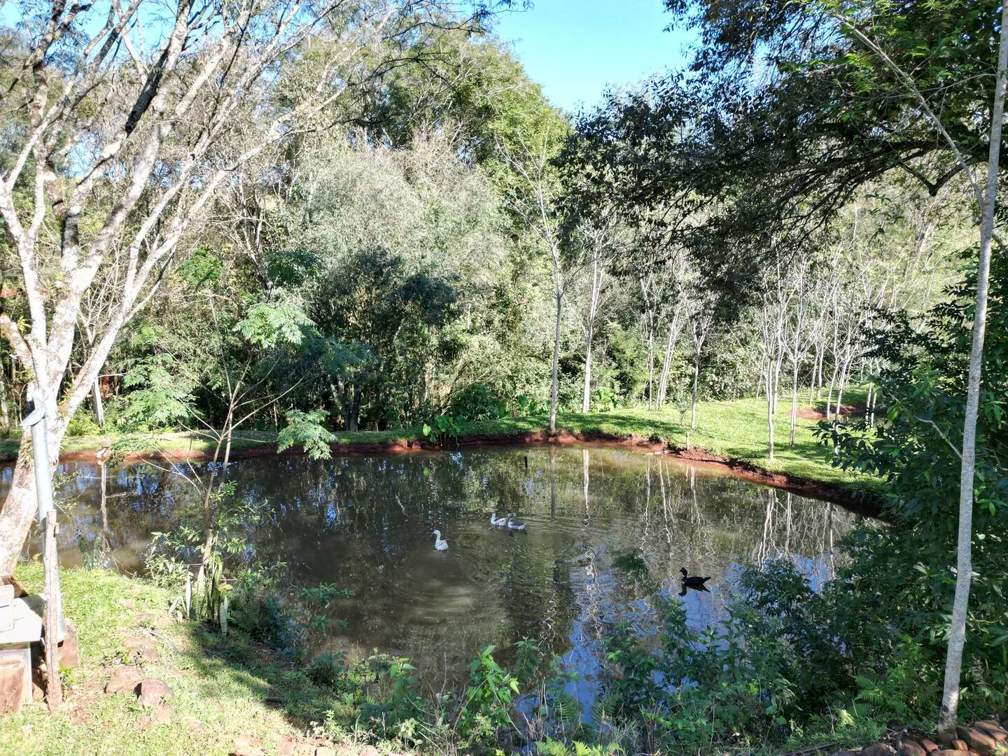 Imagem Chácara à venda em Lindoeste, 9 Km do Centro - 150m² - Piscina, Rio, Lago para pesca