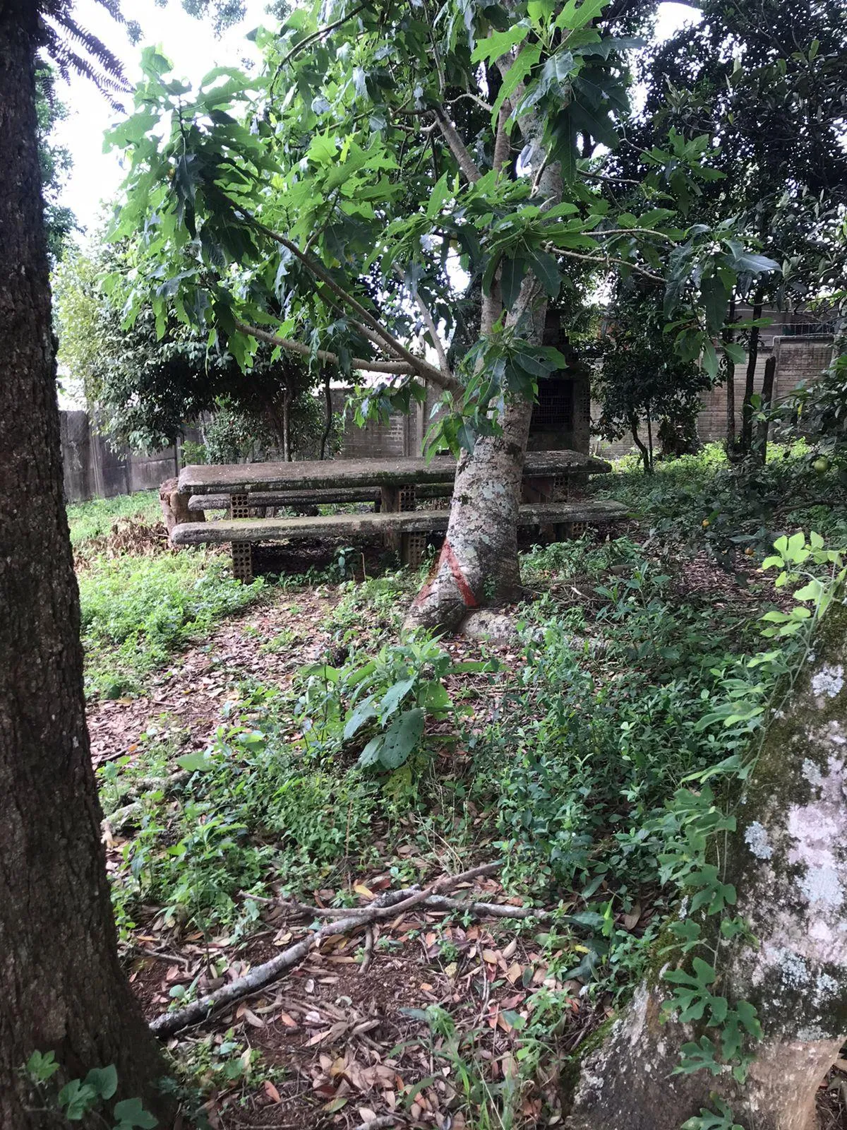 Imagem Terreno à venda com 700m próximo ao Buffet Vitri no MORRO ALTO, GUARAPUAVA - PR