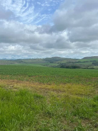Imagem Incrível Fazenda Oliveira MG 280 hectares!