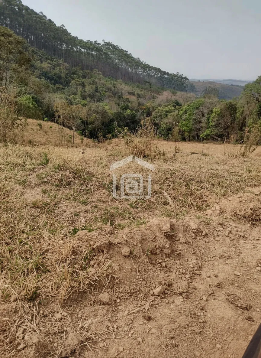 Imagem Sítio 24 m² à venda em Pocinhos do Rio Verde, Caldas