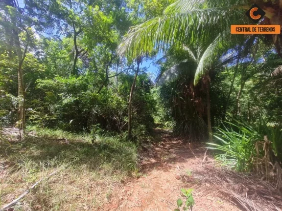 Imagem TERRENO EM AÇU DA TORRE