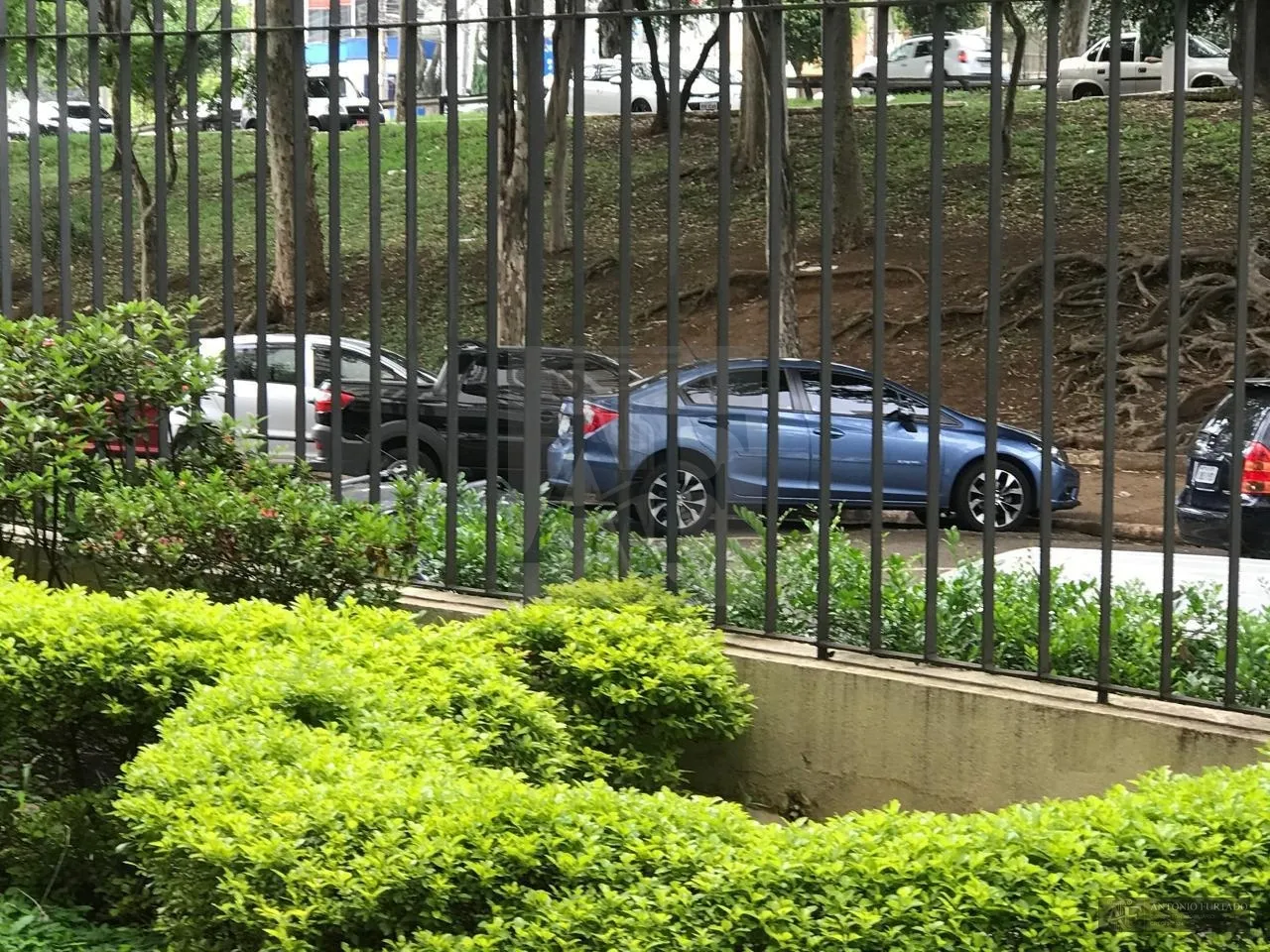 Imagem Apartamento para alugar em Vila Clementino, São Paulo