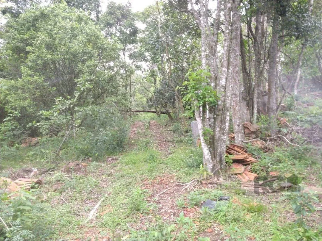 Imagem Area 6,69ha | Bairro Belem Velho