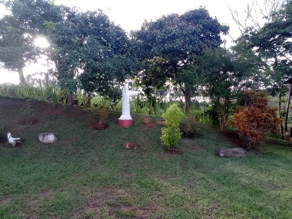 Imagem Vendo chácara em Crucilândia/MG - com 4.500 m² de área