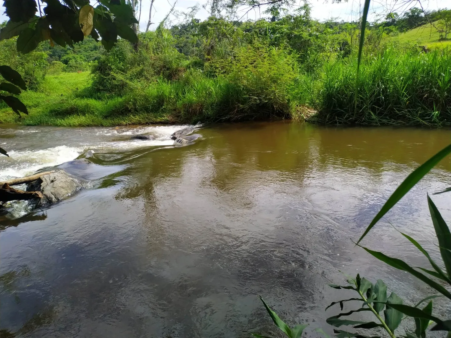 Imagem Chácara à venda 170000M², Bom Sucesso, Pindamonhangaba - SP