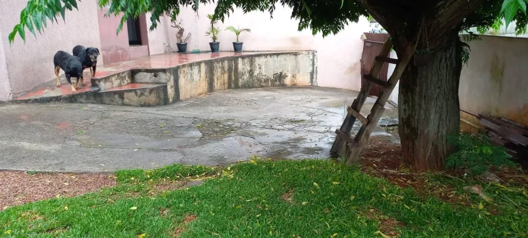 Imagem Terreno com Sobrado não Averbada - Capela Velha - Araucária