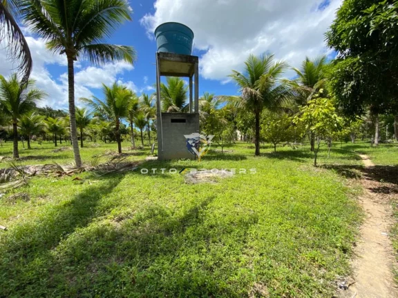 Imagem SITIO RURAL em SANTA CRUZ CABRÁLIA - BA, BR 367