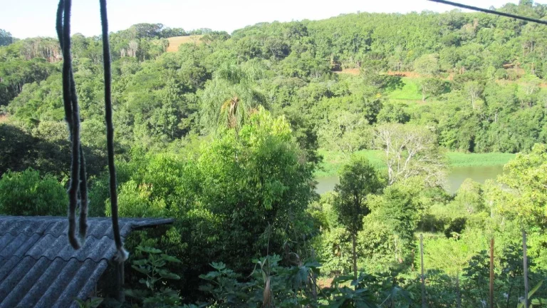 Imagem Sítio / Chácara para Venda em Concórdia, Rural, 3 dormitórios, 1 banheiro