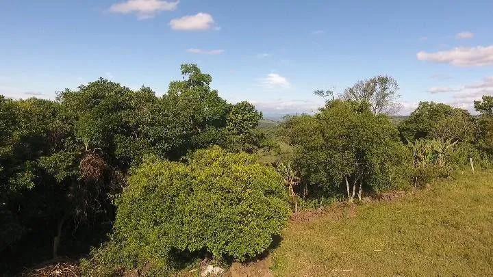 Imagem Chácara para Venda em Santo Antônio da Patrulha / RS no bairro Roça Grande