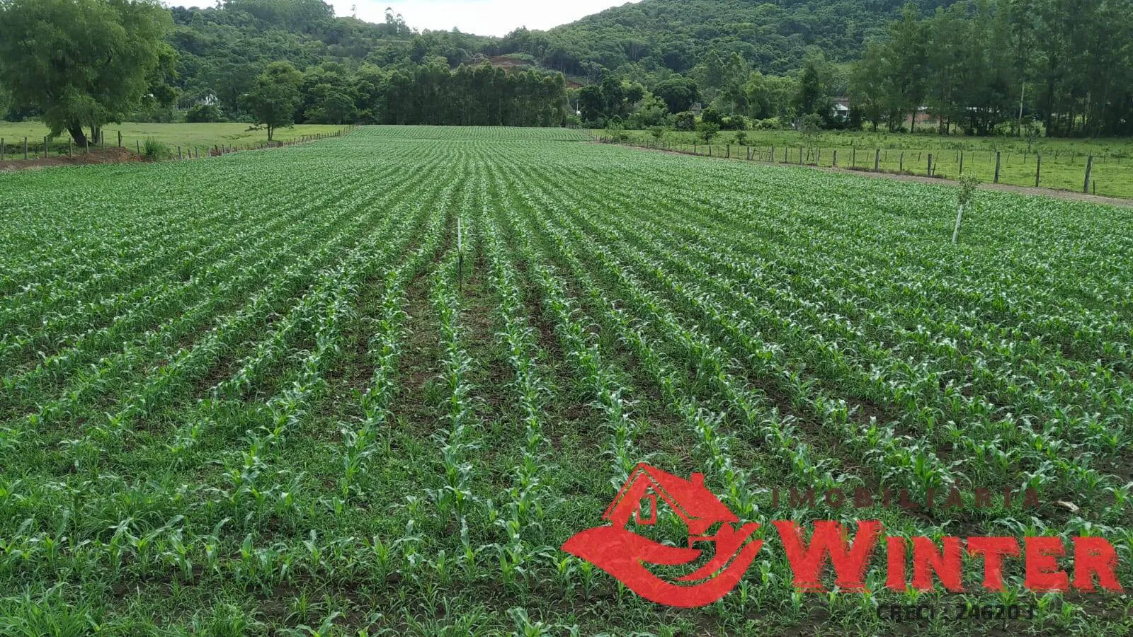 Imagem Pavilhão com 174 m², mai 2.50 ha de terra em Bom Fim Alto, Bom Principio,RS