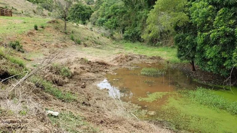 Imagem SITIO RURAL em BANDEIRA DO SUL - MG, Sitio Capituvas