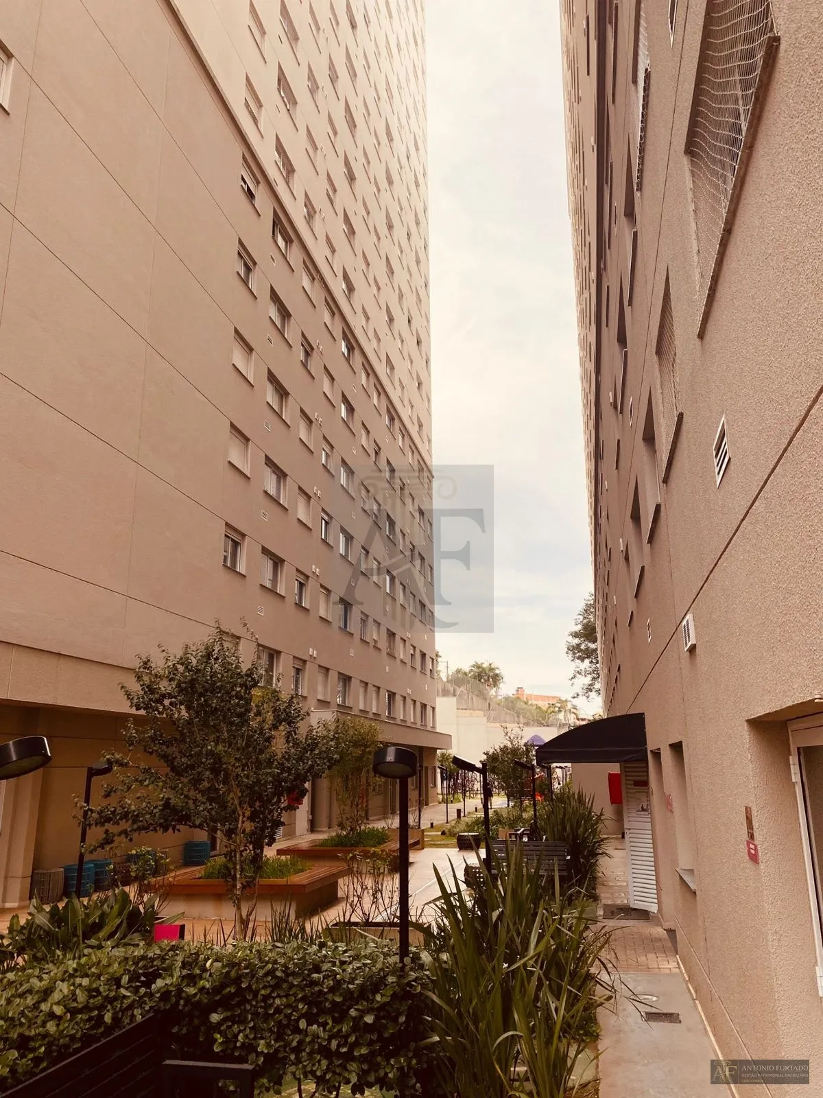 Imagem Casa à venda em Conjunto Residencial José Bonifácio, São Paulo
